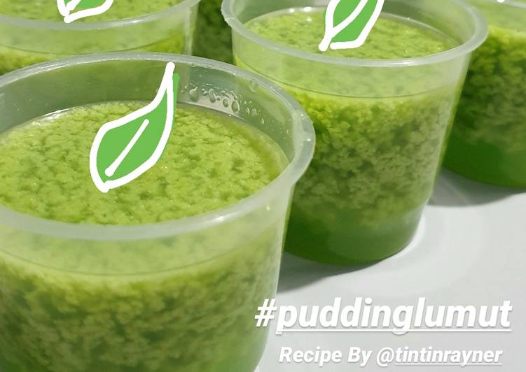 Pudding Lumut