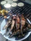 Sardinas a la parrilla