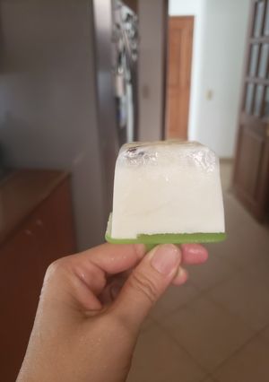 Una foto de Helado de coco