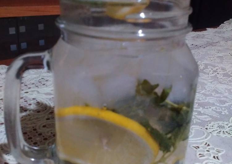 Resep Nata de aloe vera with lemon and mint leaves yang Enak Banget