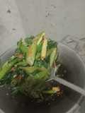 Tumis sayur lompong