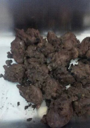 A picture of Fried liver.