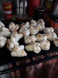 Pan con grasa o cuernitos