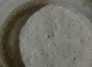 Una foto de Poolish=fermento