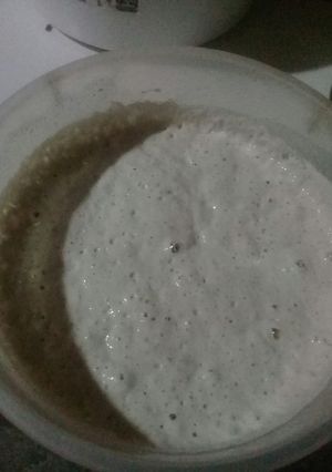 Una foto de Poolish=fermento