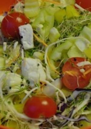 Csíra saláta recept fotója