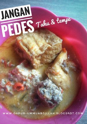 Foto resep Jangan Pedes (Sayur Santan Pedas Tahu Tempe)