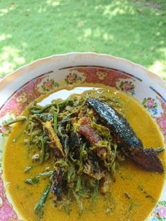 Foto resep Gulai pakis ikan asap (ikan salai)