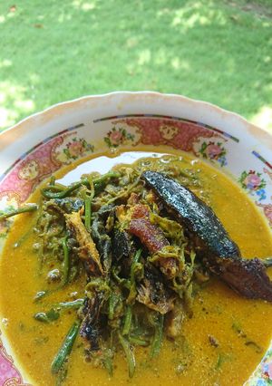 Foto resep Gulai pakis ikan asap (ikan salai)