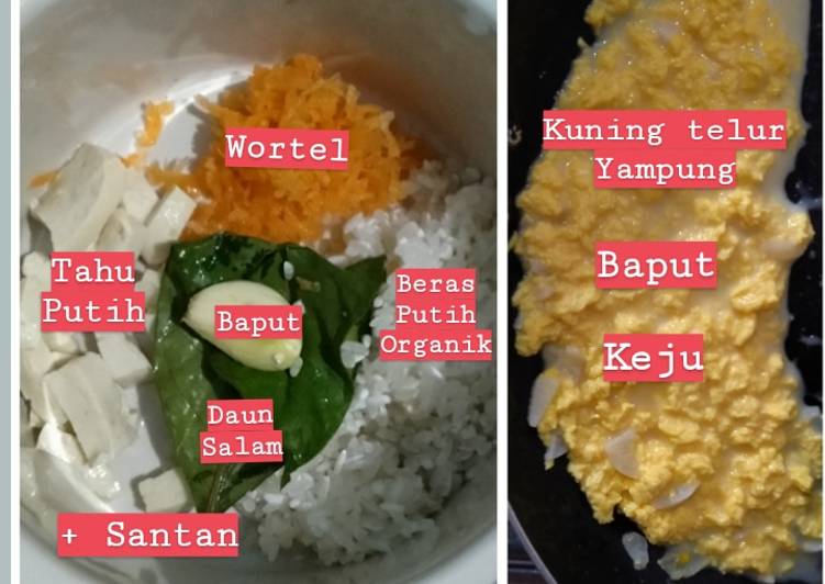 MPASI 7 Bulan Bubur Lemak Telur Yampung