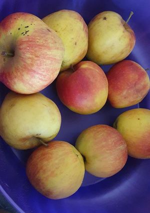 Une photo de Compote de pommes 🍎