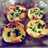 Pizzetas de calabaza