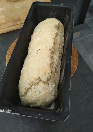 Une photo de Damper