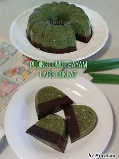Foto resep Puding Lumut Bayam Lapis Coklat