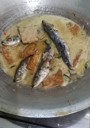 Foto resep Ikan Cuek Santen