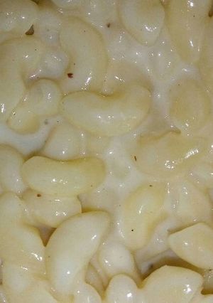 صورة لوصفة مكرونه بالصوص الابيض بأقل المقادير