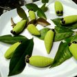 Caterpillars cookies (kue ulat)