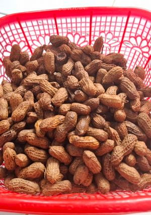 Foto resep Kacang tanah rebus