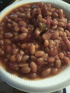 A picture of Navy Beans 2024.