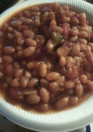 A picture of Navy Beans 2024.