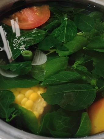 Cara Gampang Menyiapkan Resep  Sayur Bening Daun Katu yang Lezat Sekali, Bisa Manjain Lidah