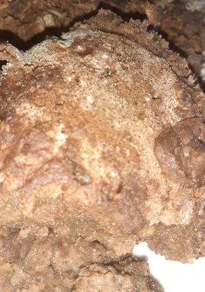 Una foto de 💖🥞Panqueque de banana con chocolate