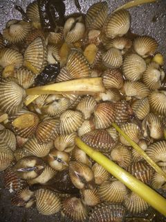 Foto resep Kerang dara saus tiram
