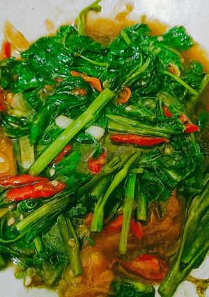 Foto resep Tumis Kangkung Saos Tiram