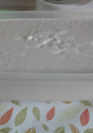 Foto resep Ice cream lembut full susu