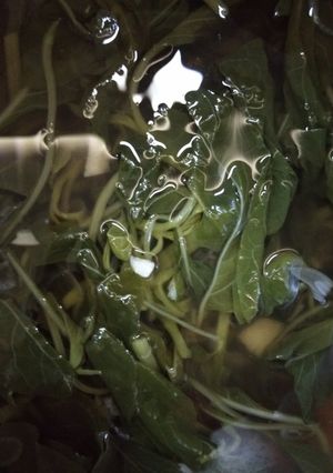 Foto resep Sayur Bening Bayam