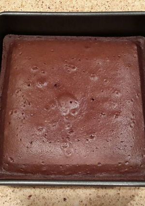 A picture of Easy Gluten Free Brownie Cake.