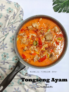 Foto resep Tongseng Ayam + Santan