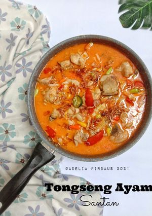 Foto resep Tongseng Ayam + Santan