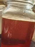 Beeless Honey