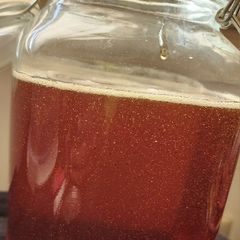 A picture of Beeless Honey.
