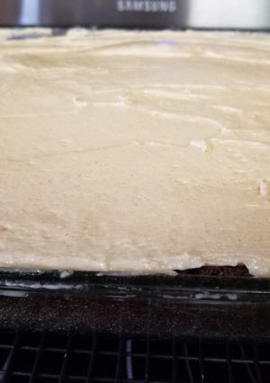 A picture of Chocolate Mayonnaise Cake.