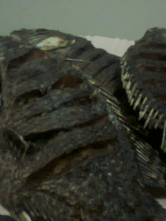 A picture of Fried Fish.