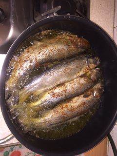 عکسی از دستور ماهی قزل آلا😍