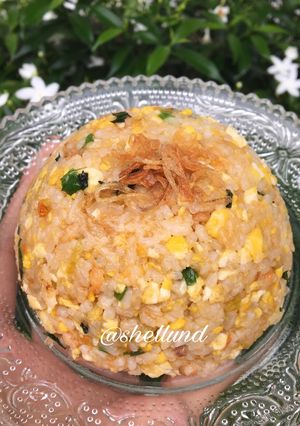 Foto resep Nasi Goreng Udang (MPASI 1y+)