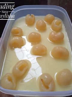 Foto resep Puding Susu / Puding Cocktail