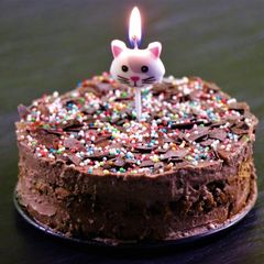 A picture of Cake For 2 | Homemade Chocolate Chip Cookie Ice Cream Cake | Egg Less| No Oven.