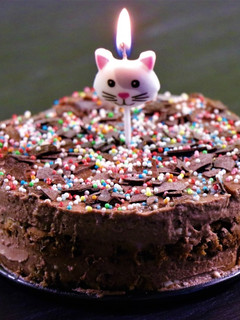 A picture of Cake For 2 | Homemade Chocolate Chip Cookie Ice Cream Cake | Egg Less| No Oven.
