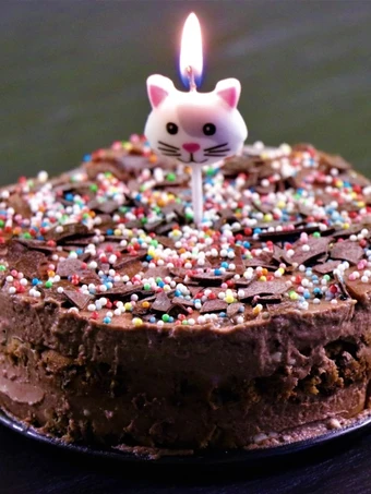 Easy Steps to Make Cake For 2 | Homemade Chocolate Chip Cookie Ice Cream Cake | Egg Less| No Oven the Can Spoil the Tongue Really delicious