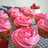 Vanilla Cupcakes Lembut
