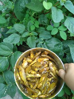 পুঁটি মাছের আচার (puti macher achaar recipe in Bengali) রেসিপির প্রধান ছবি