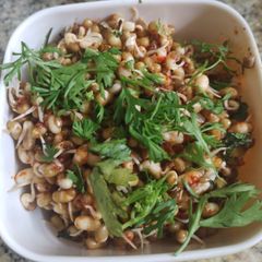 A picture of Moth beans salad.