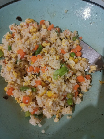 Cara Gampang Membuat Nasi Goreng Teri Nasi dan Sayuran, Sempurna