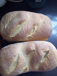 A picture of White Bread.