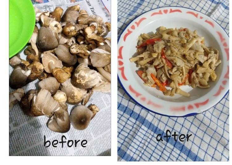 Bagaimana Menyiapkan Tumis jamur sawit Anti Gagal