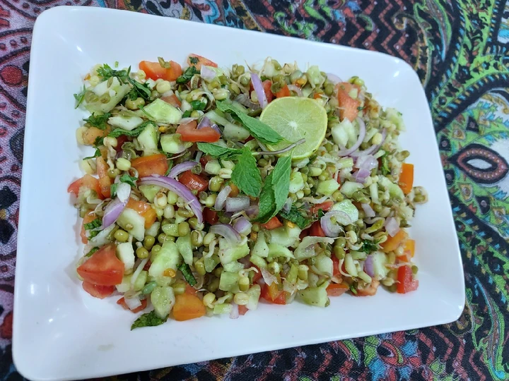 Easy Steps to Prepare Recipes Moong sprout salad healthy and tasty the Delicious Delicious.